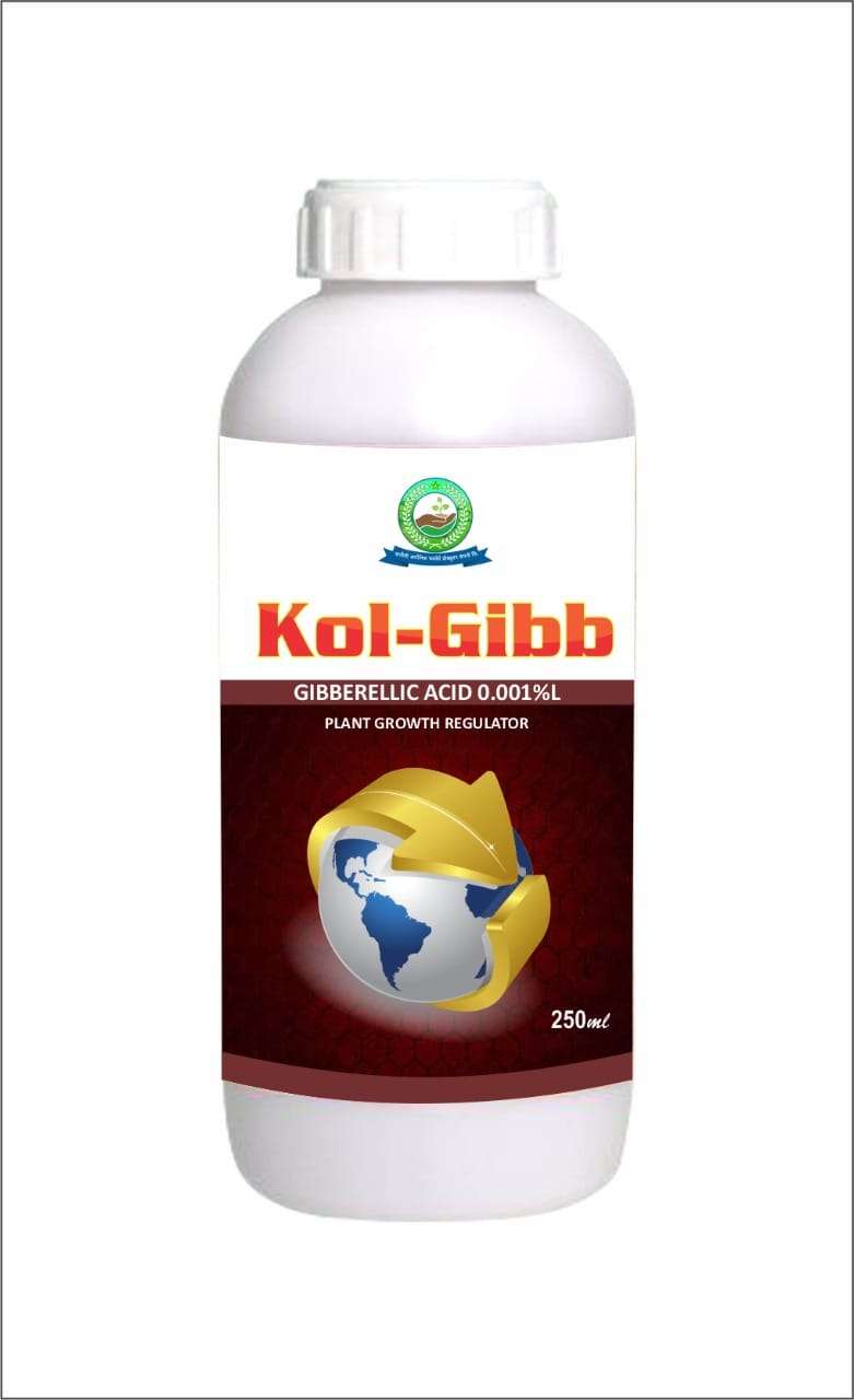 KoL-Gibb